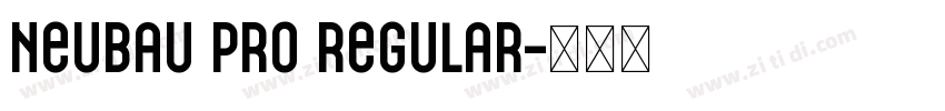 Neubau Pro Regular字体转换